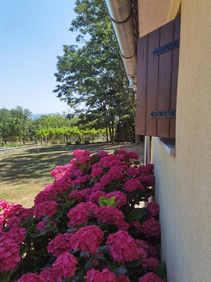 Apartment Luce Pićan Exterior foto